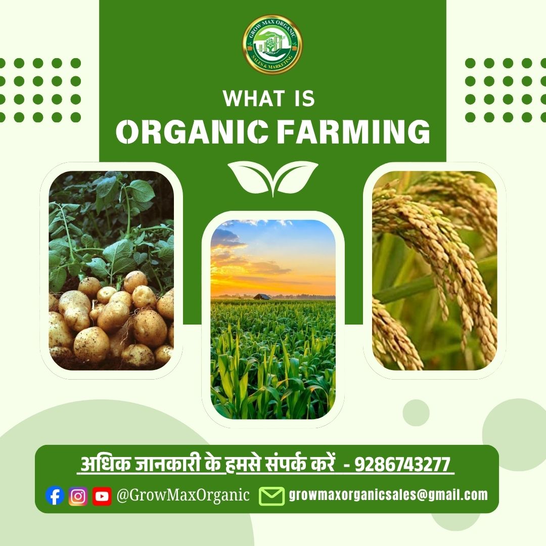 जैविक खेती क्या है ? और हमें इसे क्यों अपनाना चाहिए?